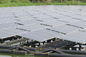 sistemas eléctricos solares residenciales del mono estanque de peces del panel solar 320W 3,2 milímetros de vidrio moderado grueso
